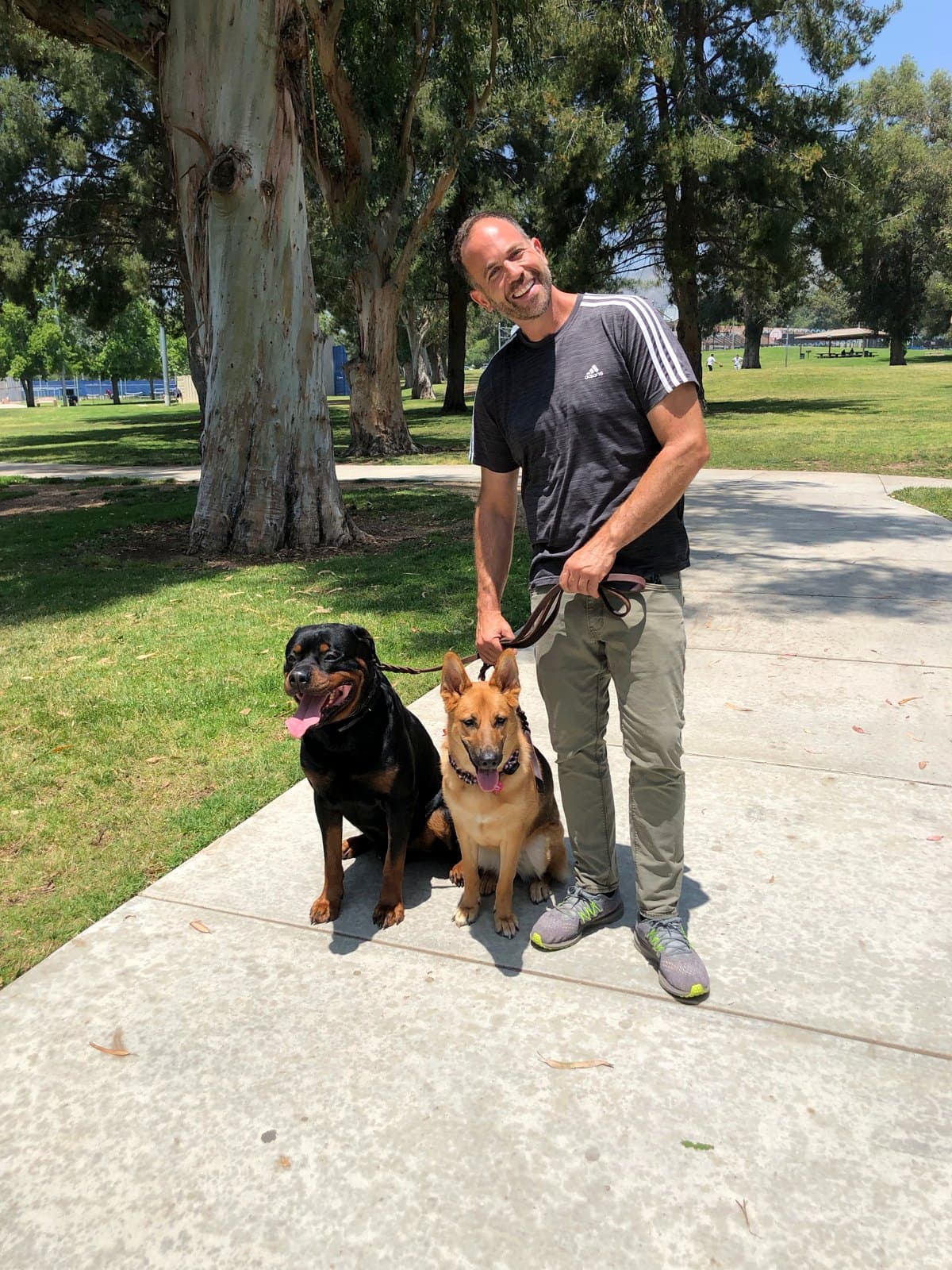 Brett Endes with a Rottweiler and a German Shepherd sitting calmly on a loose leash at an Austin park