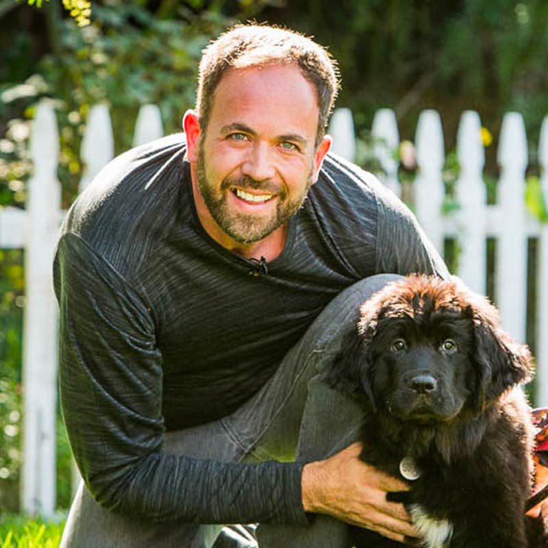 How to Choose a Dog Trainer in Austin